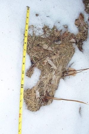 Do You Believe?: A C Do You Believe?: A C